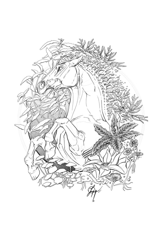 ~Kelpie~ (A3 Giclée Art Print)